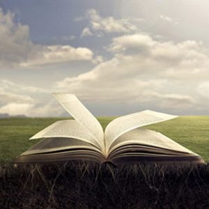 【視頻講道】常年期第卅三主日（丙年）2025.11.16