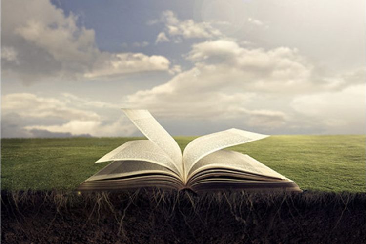 【視頻講道】常年期第卅三主日（丙年）2025.11.16