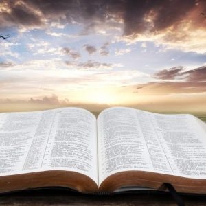 【視頻講道】拉特朗大殿奉獻日 2025.11.09