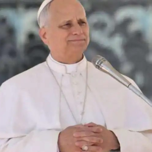 教宗為菲律賓颱風災民及和平締造者祈禱