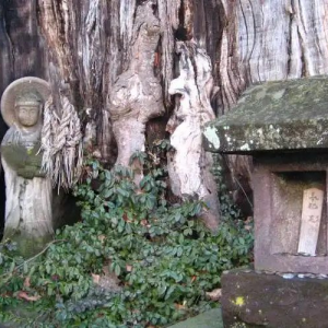 日本教會計劃新朝聖路線紀念「隱藏的基督徒」