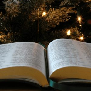 每日聖言 2025.11.30