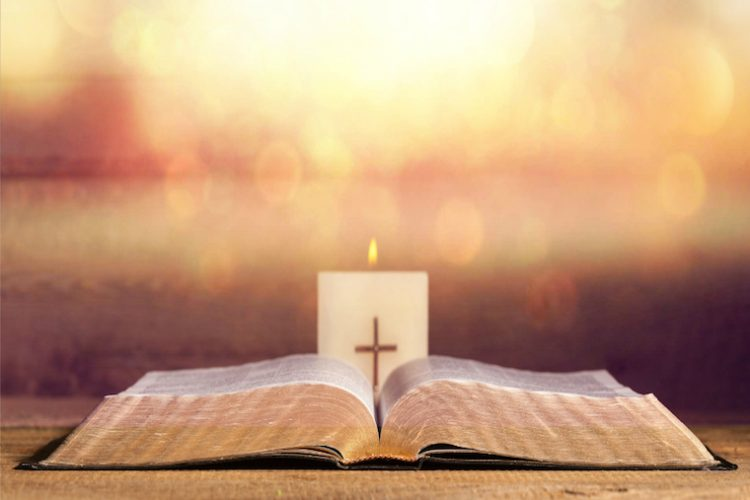 每日聖言 2026.01.13