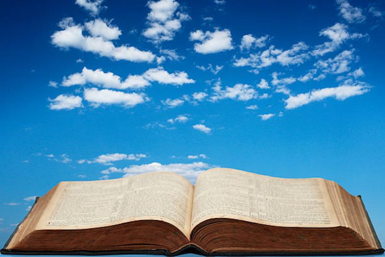 【視頻講道】常年期第二主日（甲年）2026.01.18