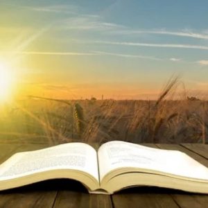 【視頻講道】常年期第三主日(甲年)2026.01.25