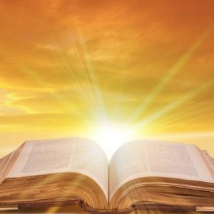 【視頻講道】常年期第六主日(甲年)2026.02.15