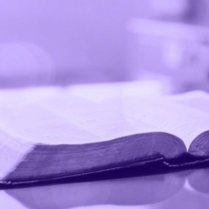 每日聖言 2026.02.18