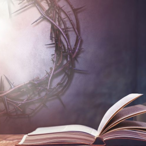 每日聖言 2026.03.30