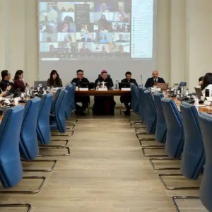 網上聯席會議啟動下屆世青節籌備工作