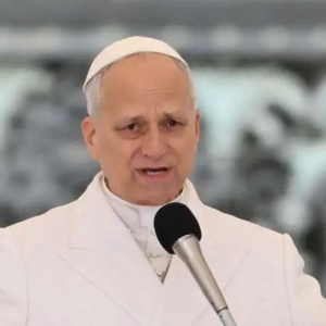 教宗 : 平信徒是教會積極的傳教士,非被動的成員