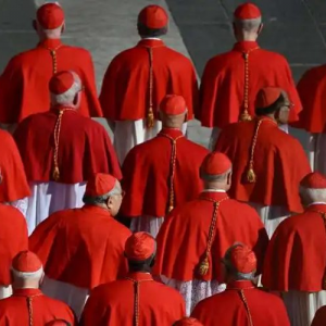 教宗籲樞機在六月的會議前更新傳教熱忱