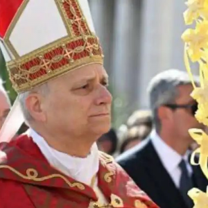 教宗在聖週之始強烈呼籲和平結束戰爭